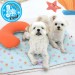 ParisDog 海底世界寵物涼感睡墊組